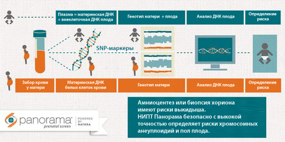 Фетальная генотерапия картинки